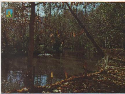Postal E00972: Lago de los patos ,Monasterio de Piedra, Zaragoza