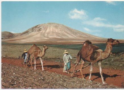 Postal E00808: Arada, Lanzarote