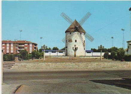 Postal E00551: Molino más grande del mundo, Valdepeñas, C,Real