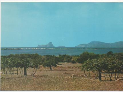 Postal E00256: Bahía De Cala Sabina Formentera