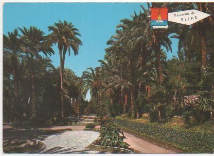 Postal E00203: Parque Palmeras Elche