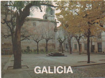 Postal E00531: Plaza  de magdalena, Ourense