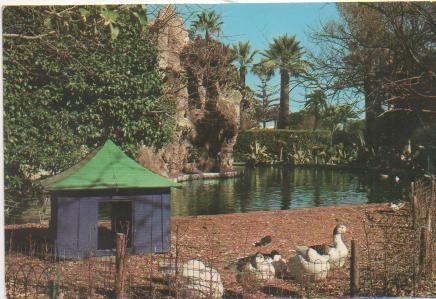 Postal E00499: Cascada parque del Genovés, Cádiz