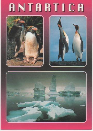 Postal E00439: Pingüinos, Antartica