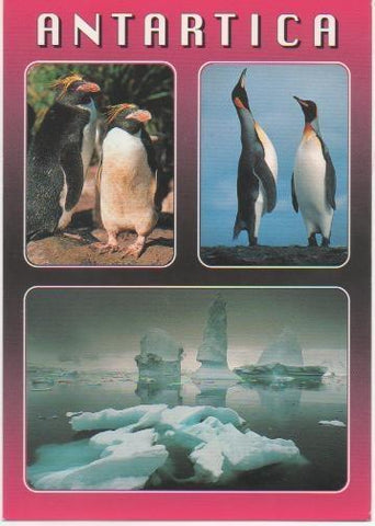 Postal E00439: Pingüinos, Antartica