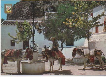 Postal E00330: Pozo, Mijas, malaga