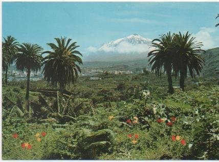 Postal E00395: Bonita vista del Teide, Tenerife, 