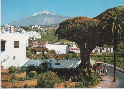Postal E00399: Drago Milenario, Tenerife