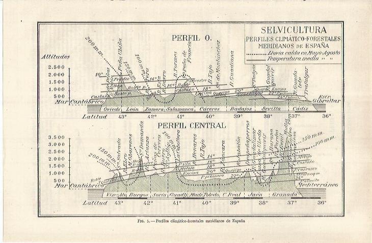 LAMINA ESPASA 37090: Perfiles climaticos forestales meridianos de España