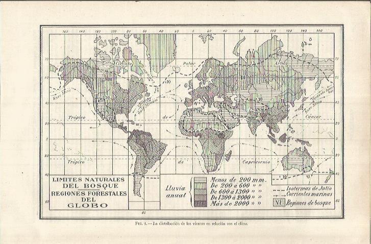 LAMINA ESPASA 37089: Mapamundi de las regiones forestales