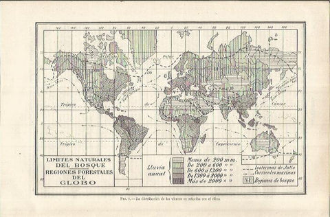 LAMINA ESPASA 37089: Mapamundi de las regiones forestales