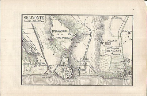 LAMINA ESPASA 37087: Plano de Selinonte, Italia