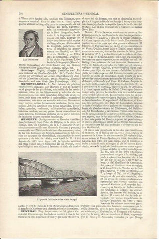 LAMINA ESPASA 37122: El puente Faidherbe sobre el rio Senegal