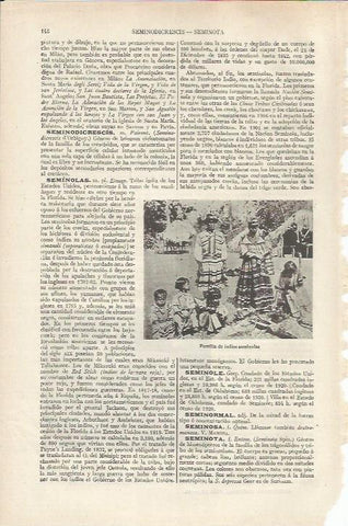 LAMINA ESPASA 37110: Familia de indios Seminolas