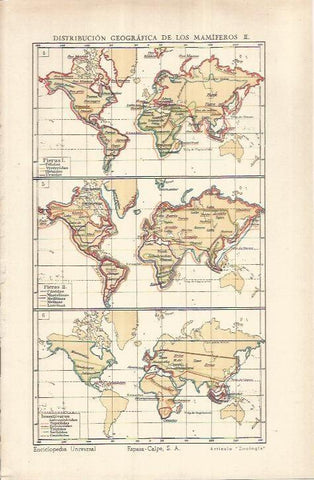 LAMINA ESPASA 37028: Mapamundi de distribucion geografica de mamiferos