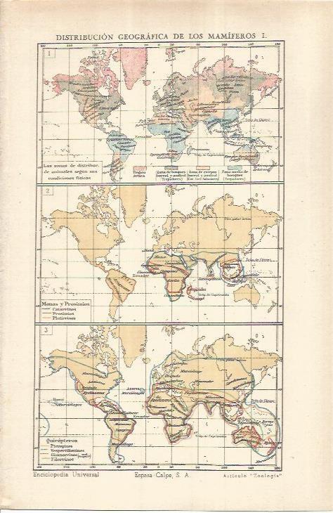 LAMINA ESPASA 37027: Distribucion geografica de los mamiferos