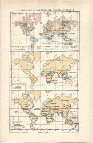 LAMINA ESPASA 37027: Distribucion geografica de los mamiferos