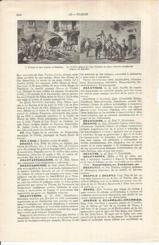 LAMINA ESPASA 37019: Posada de San Rafael y Familia gitana, por Aquiles Zo