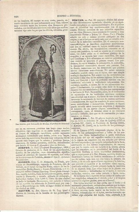 LAMINA ESPASA 37046: San Zosimo