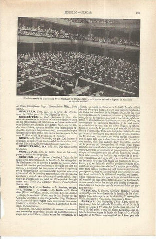 LAMINA ESPASA 37210: Sesion de la ONU en 1926