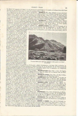 LAMINA ESPASA 37164: El monte Serbal
