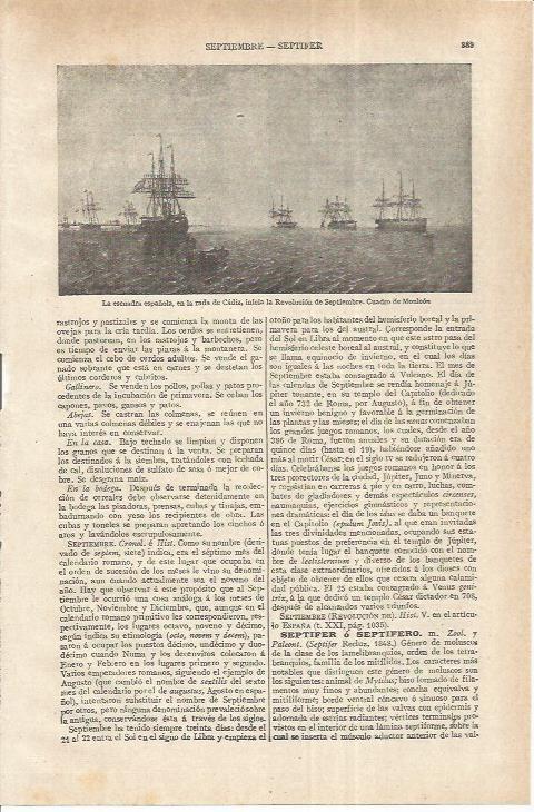 LAMINA ESPASA 37155: La escuadra española en la rada de Cadiz, por Monleon