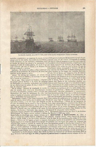 LAMINA ESPASA 37155: La escuadra española en la rada de Cadiz, por Monleon