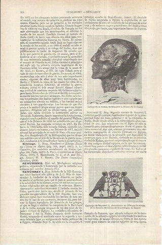 LAMINA ESPASA 37142: Cabeza de la momia de Senusret I