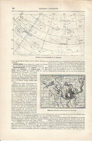 LAMINA ESPASA 37189: Limites de la constelacion de la serpiente