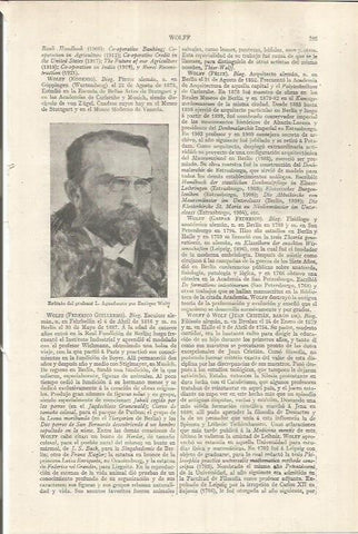 LAMINA ESPASA 36831: Retrato del profesor L., por E.Wolff