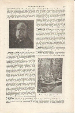 LAMINA ESPASA 36819: Autorretrato de Javier de Winthuysen