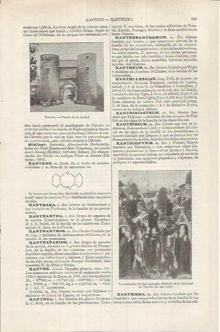 LAMINA ESPASA 36853: Puerta de la ciudad de Xanten, Alemania