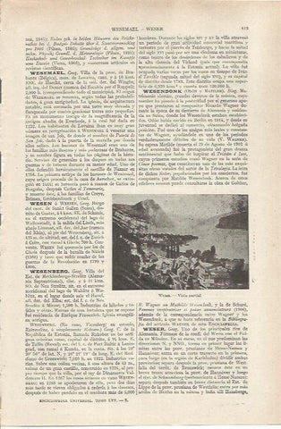LAMINA ESPASA 36768: Vista de Wesen, Suiza