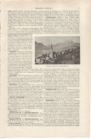 LAMINA ESPASA 36747: Lago y Monte Pilatos en Weggis, Suiza