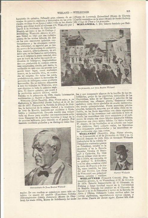 LAMINA ESPASA 36788: La procesion, por J. B. Wieland