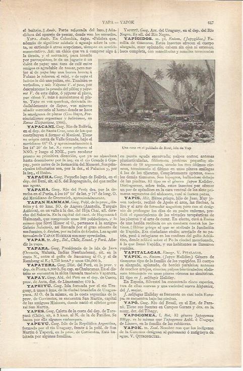 LAMINA ESPASA 36874: Casa en el poblado de Roul en Yap, Micronesia