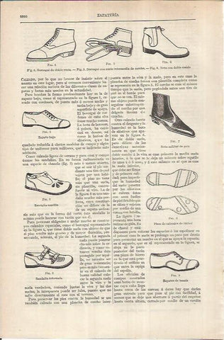 LAMINA ESPASA 36969: Tipos de zapatos