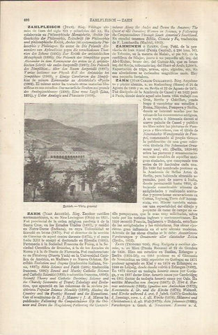 LAMINA ESPASA 36934: Vista de Zahleh, Libano