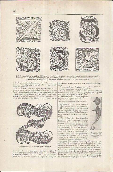 LAMINA ESPASA 36921: Tipos de letra Z