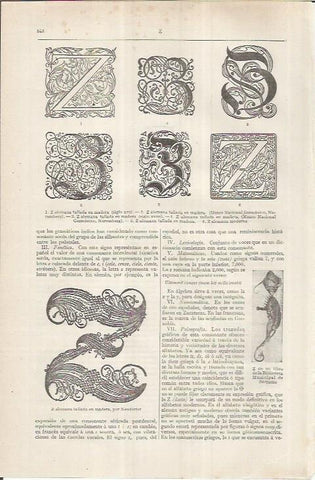 LAMINA ESPASA 36921: Tipos de letra Z