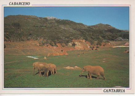 Postal E02342: Elefantes Africanos, Cabarceno, Cantabria
