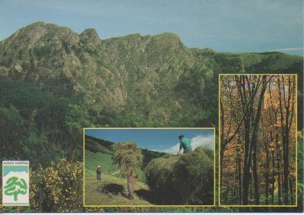 Postal E02361: Parque Natural de Peñas de Haya, Pais Vasco