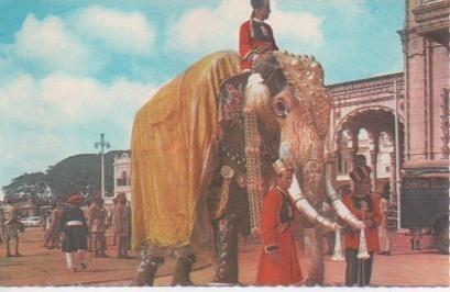 Postal E02289Dassera Procession, Mysore, Karnataka, India