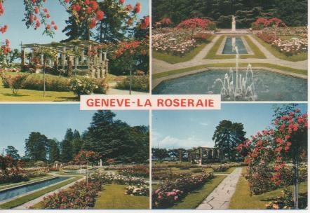 Postal E02278: Imágenes de la Roseraie,Ginebra, Suiza