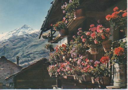 Postal E02270: Chalet florido en Val d'Hérens, Suiza