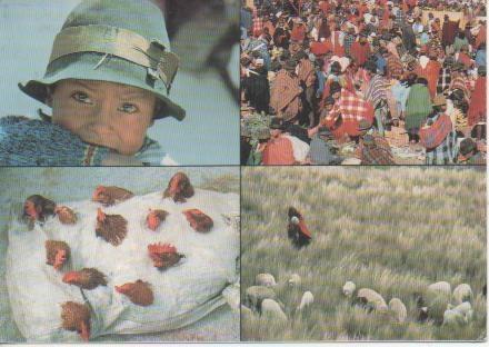 Postal E02303: Imágenes de Ecuador