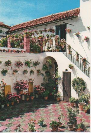 Postal E02482: Patio Andaluz