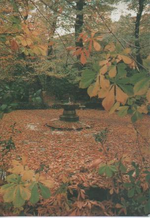 Postal E02463: Fuente del Tomate, Bosque de la Alhambra,Granada