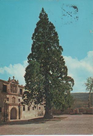 Postal E02503: Abadia de Santo Domingo de Silos, Burgos