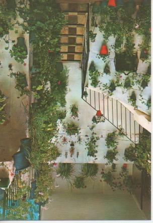 Postal E02456: Patio Andaluz